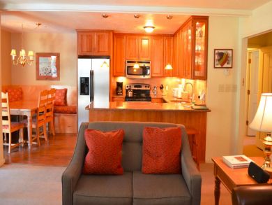 Vail Lionshead Condo 896265